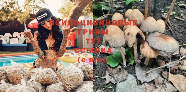 соль ск Волосово