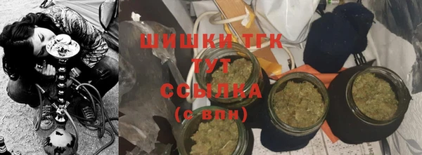 соль ск Волосово