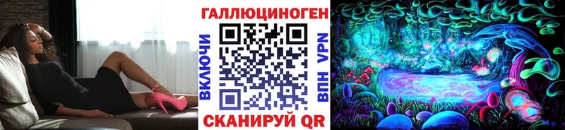 закладка  Переславль-Залесский  Псилоцибиновые грибы прущие грибы 